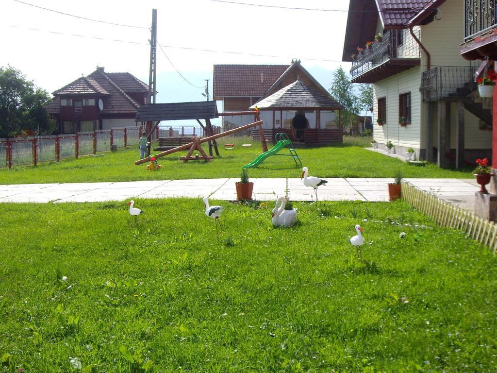 Hotel Garofita Pietrei Craiului Peştera Esterno foto