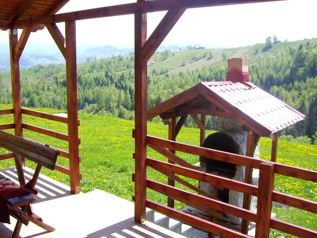 Hotel Garofita Pietrei Craiului Peştera Camera foto