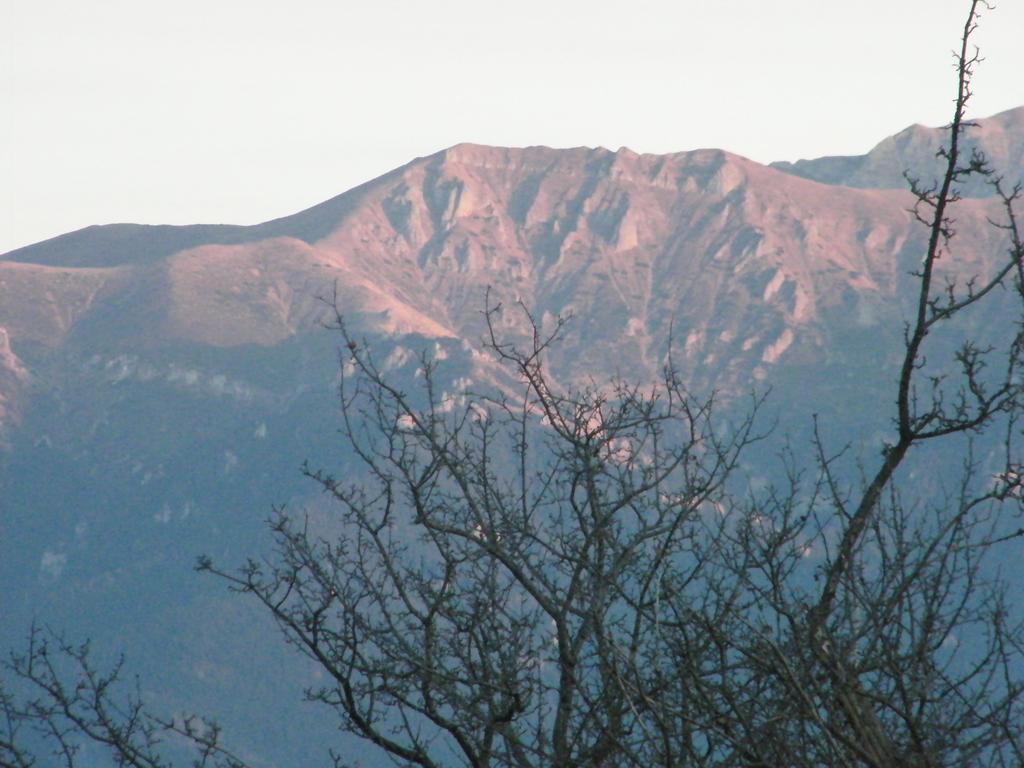 Hotel Garofita Pietrei Craiului Peştera Camera foto