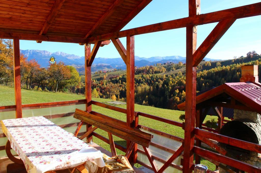 Hotel Garofita Pietrei Craiului Peştera Esterno foto