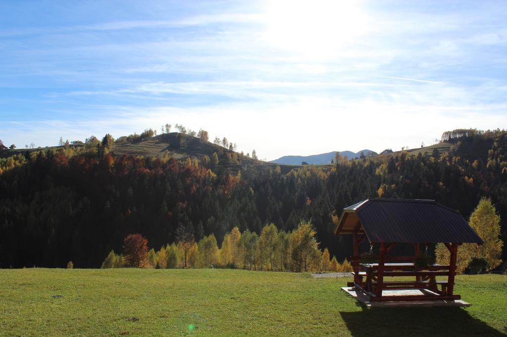 Hotel Garofita Pietrei Craiului Peştera Esterno foto
