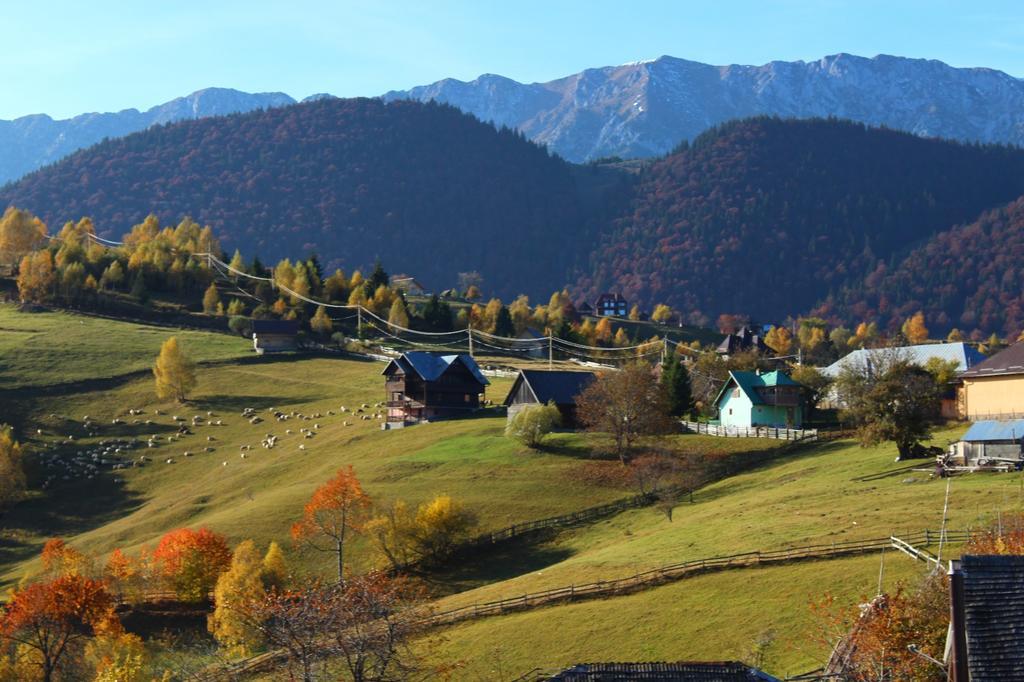 Hotel Garofita Pietrei Craiului Peştera Esterno foto